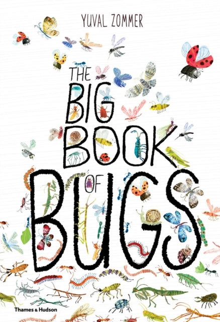 Signed copy of The Big Book of Bugs - Yuval Zommer